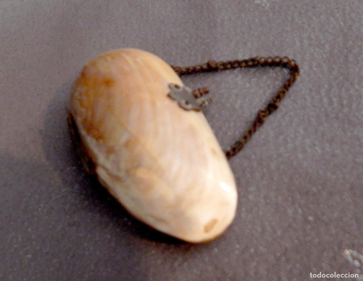 Antig&uuml;edades: Victorian oyster shell purse - Foto 1