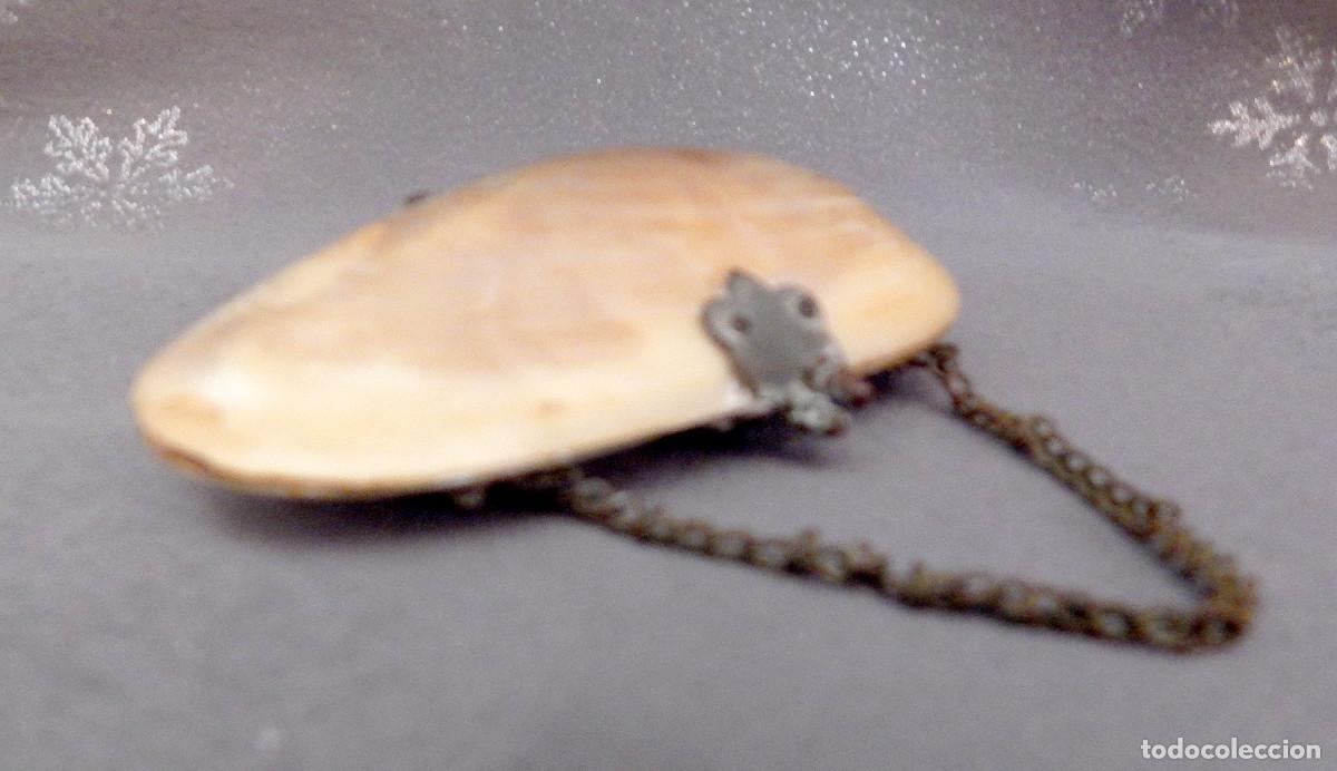 Antig&uuml;edades: Victorian oyster shell purse - Foto 2