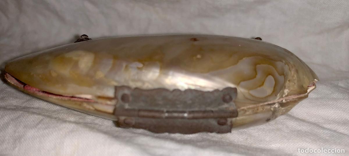 Antig&uuml;edades: Victorian oyster shell purse - Foto 6