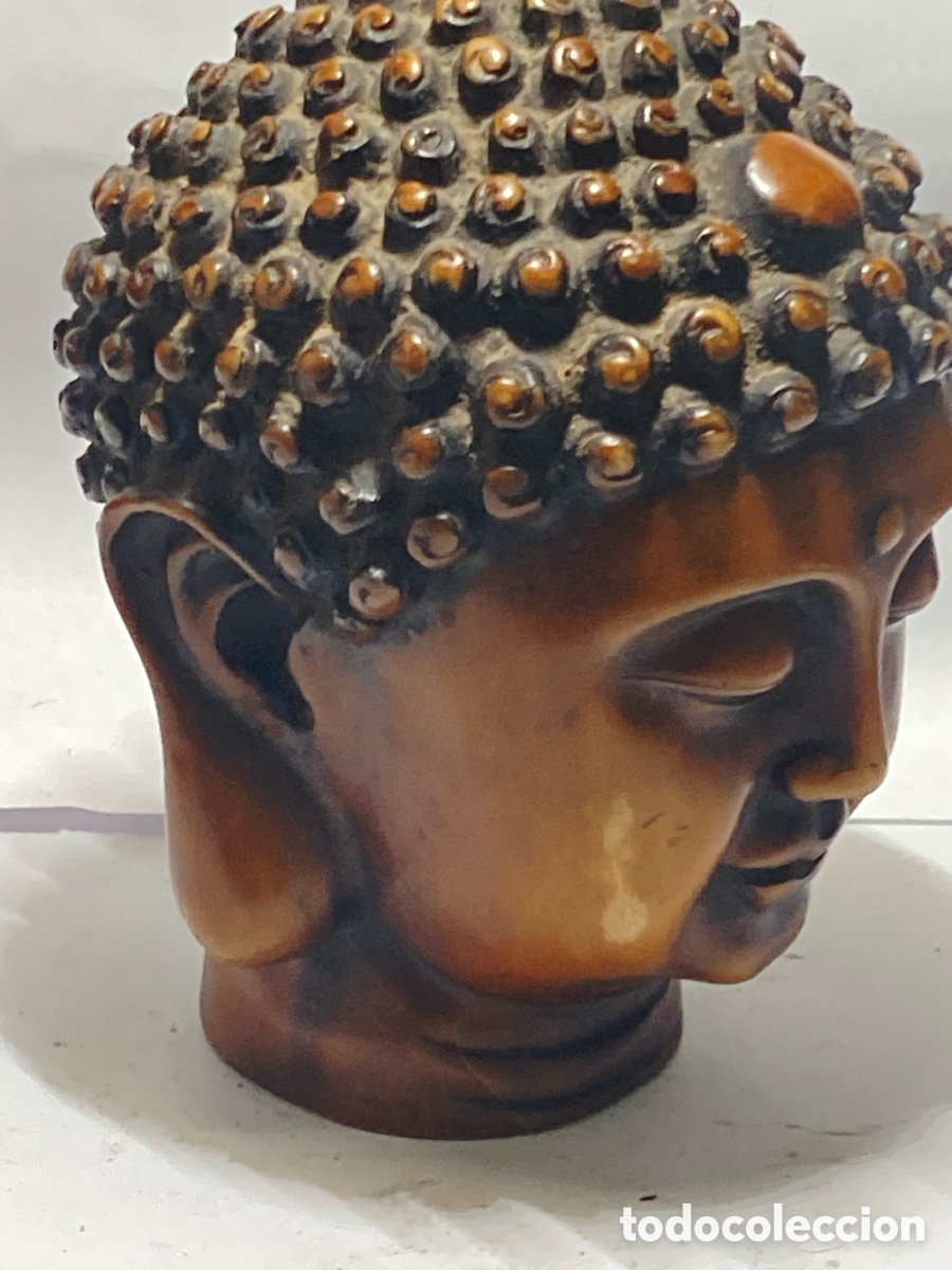 Antig&uuml;edades: Cabeza Buda resina compacta - Foto 2