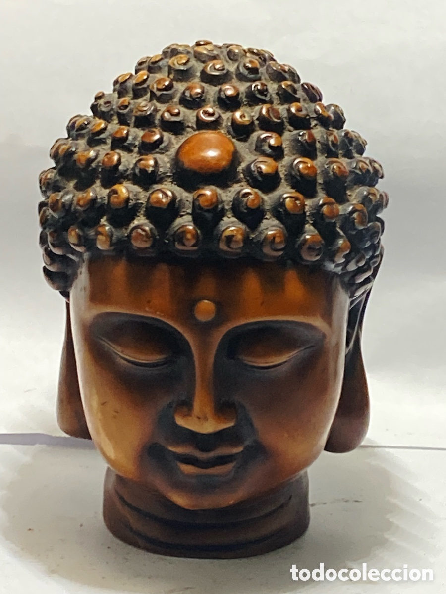Antig&uuml;edades: Cabeza Buda resina compacta - Foto 1