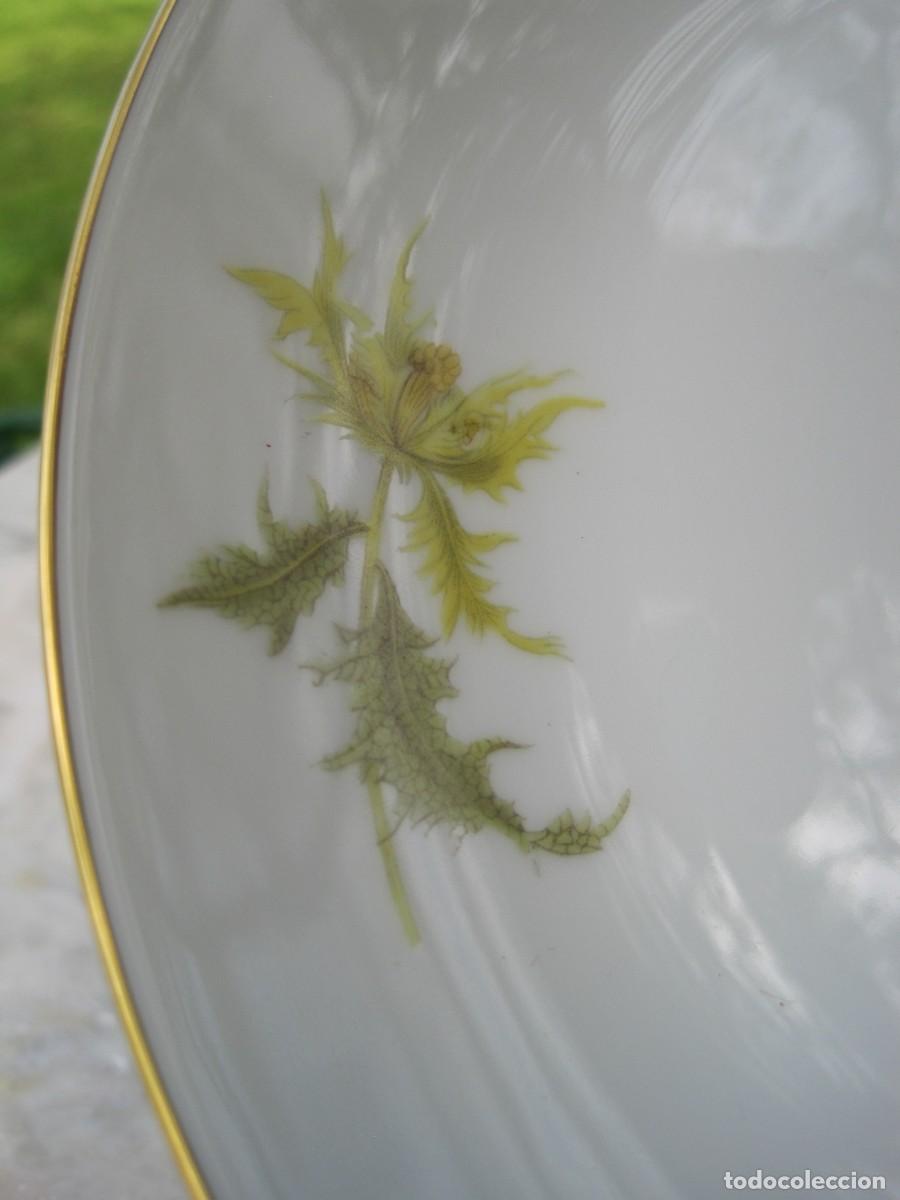 Antig&uuml;edades: PLATO DE PORCELANA BIDASOA - Foto 4