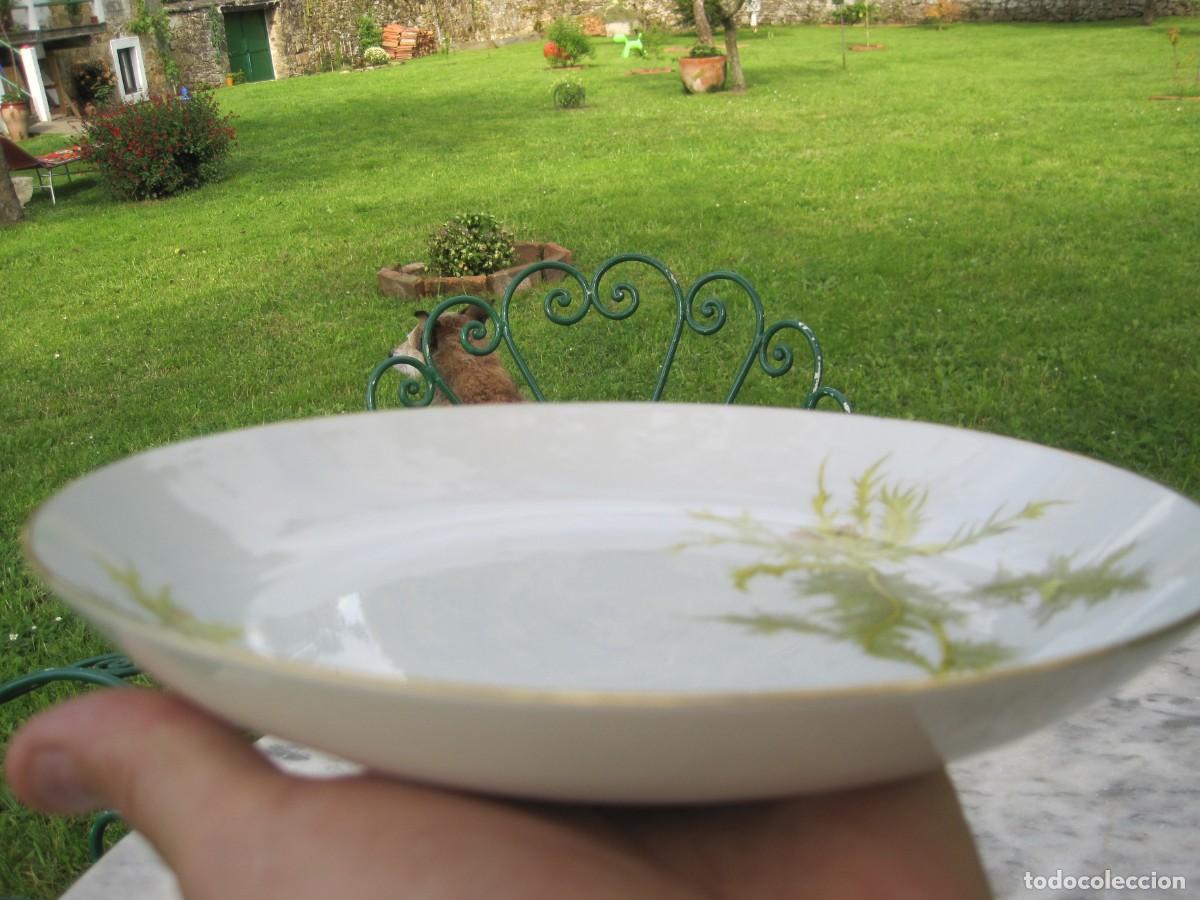 Antig&uuml;edades: PLATO DE PORCELANA BIDASOA - Foto 5