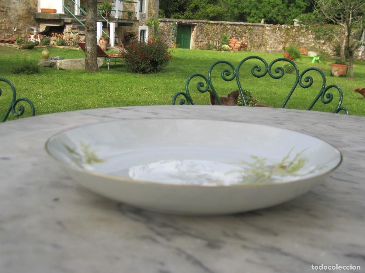 Antig&uuml;edades: PLATO DE PORCELANA BIDASOA - Foto 6