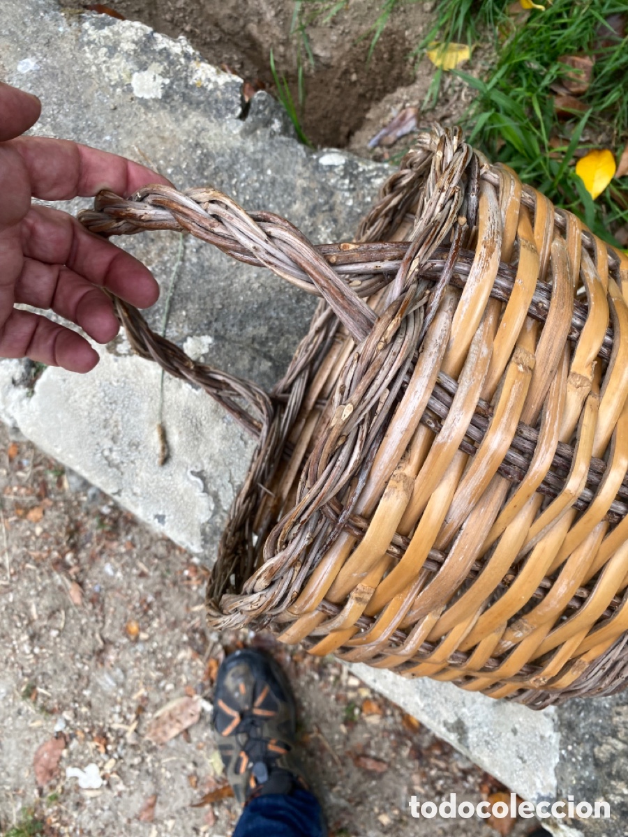 Antig&uuml;edades: Cesta de mimbre gallega - Foto 4