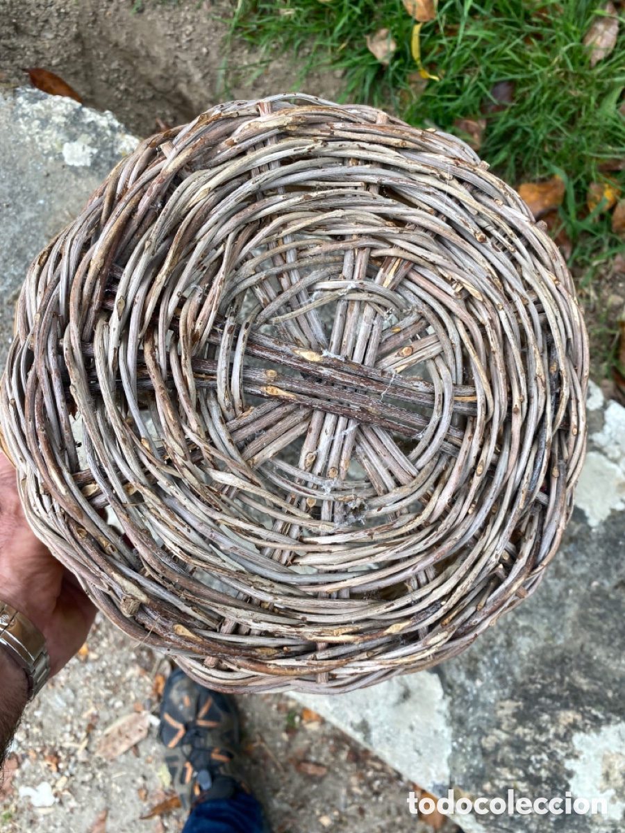 Antig&uuml;edades: Cesta de mimbre gallega - Foto 5