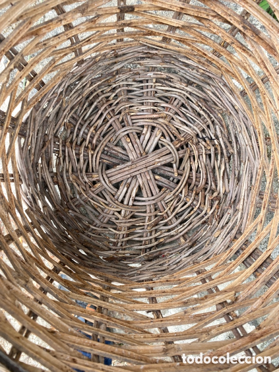 Antig&uuml;edades: Cesta de mimbre gallega - Foto 6