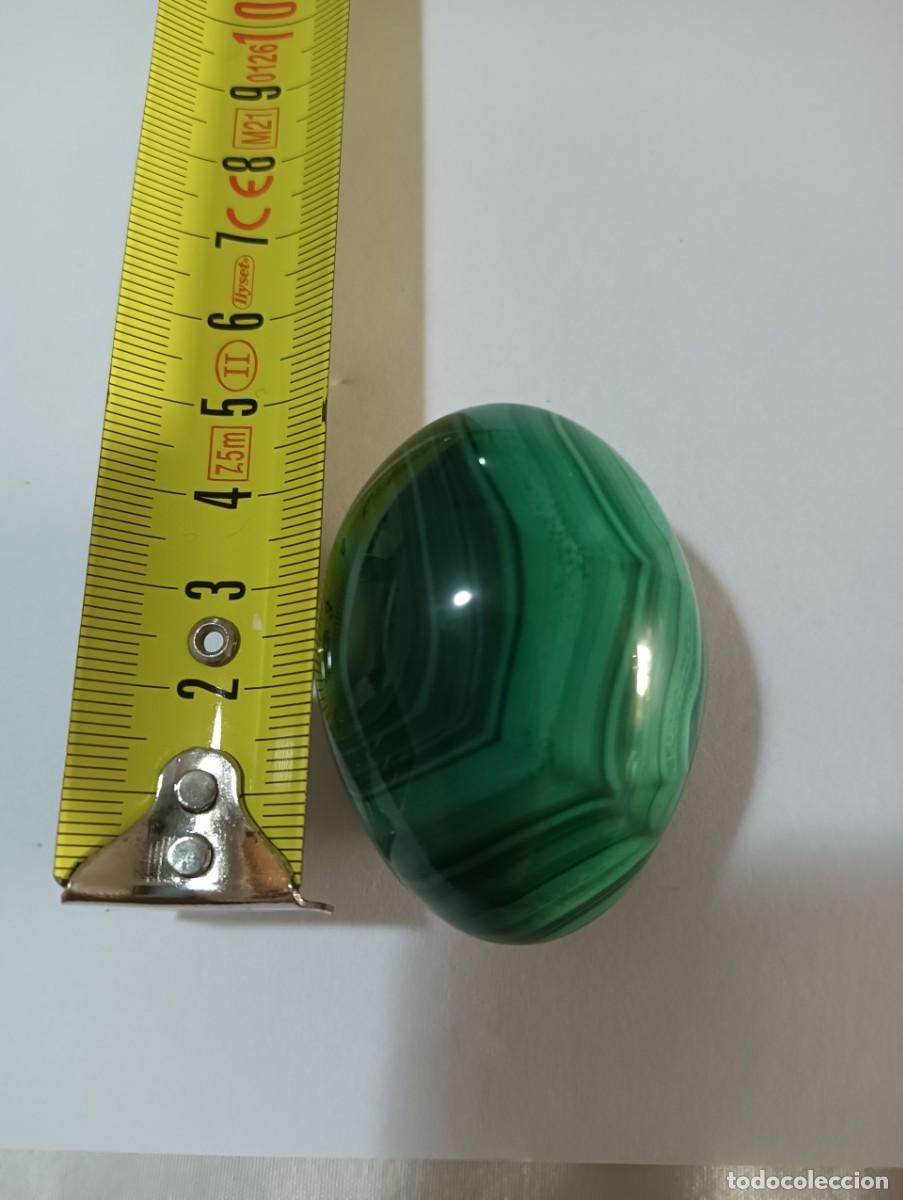 Antig&uuml;edades: Polished Egg shape carved Malachite crystal. - Foto 3