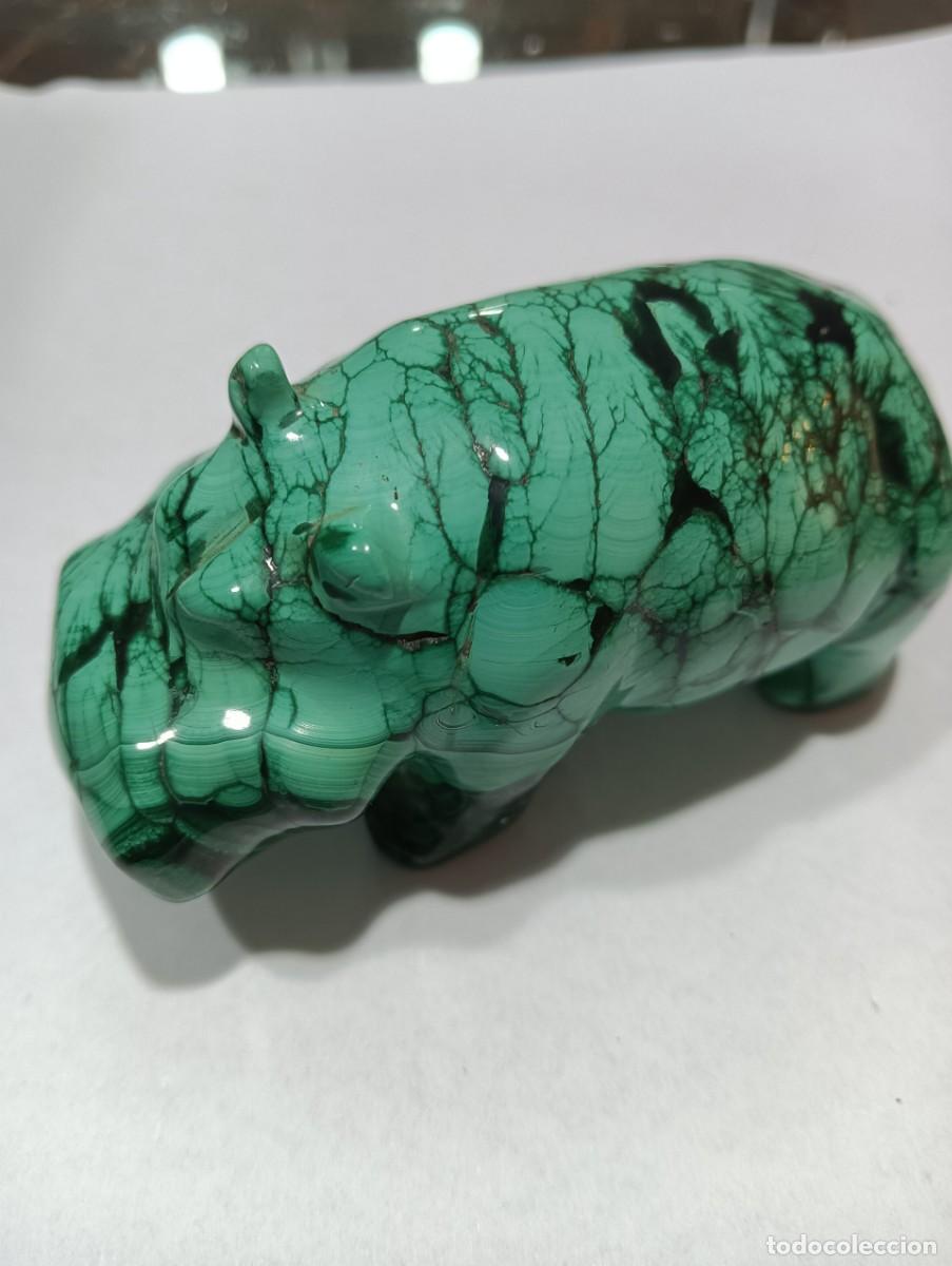 Antig&uuml;edades: Polished Hippo shape carved Malachite - Foto 4