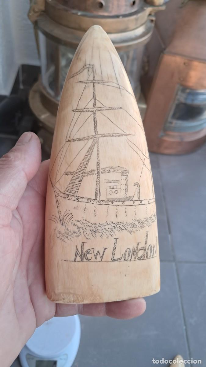 Antig&uuml;edades: Colmillo tallado cetaceo - Foto 1
