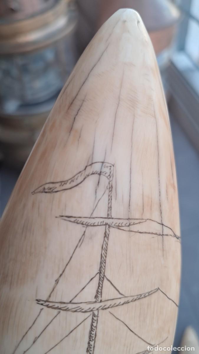 Antig&uuml;edades: Colmillo tallado cetaceo - Foto 5