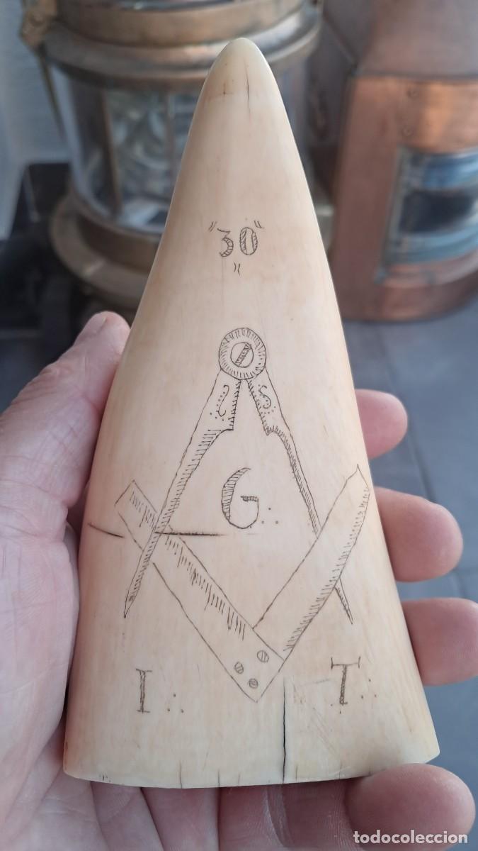 Antig&uuml;edades: Colmillo tallado cetaceo - Foto 2