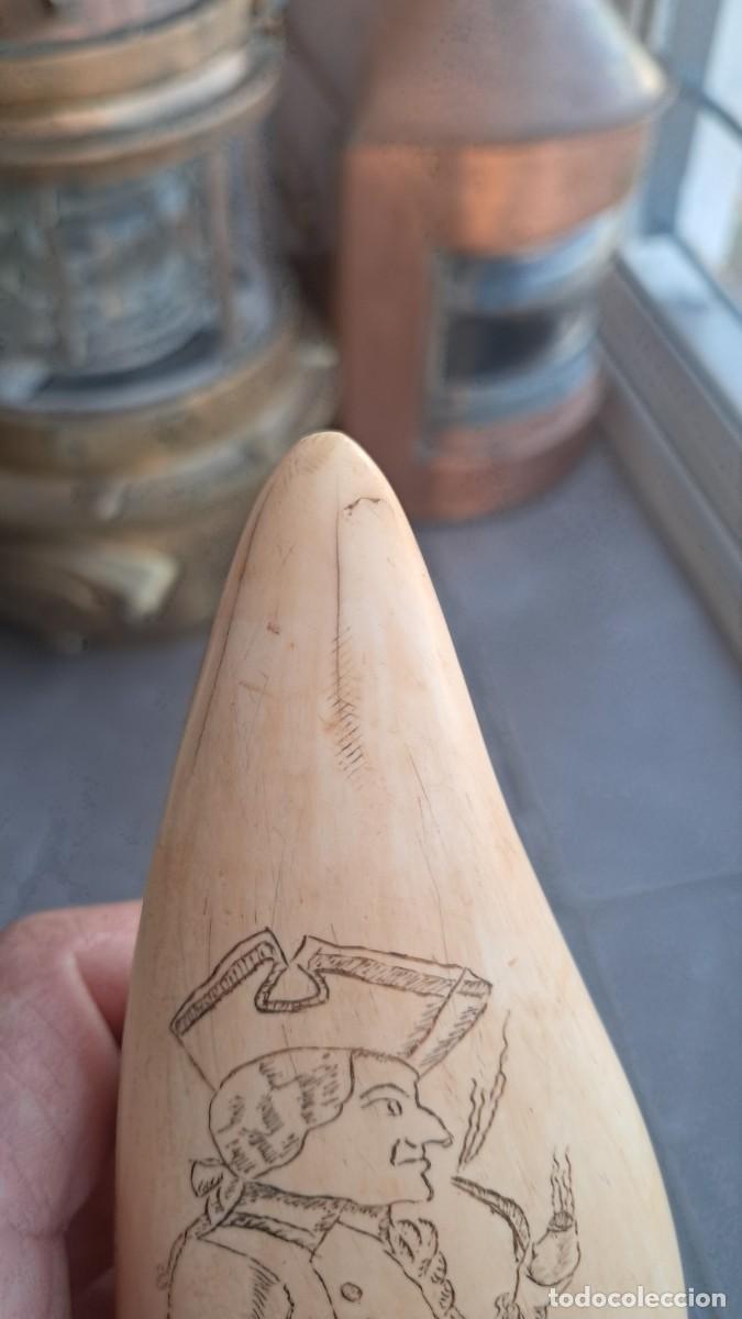 Antig&uuml;edades: Colmillo tallado cetaceo - Foto 6