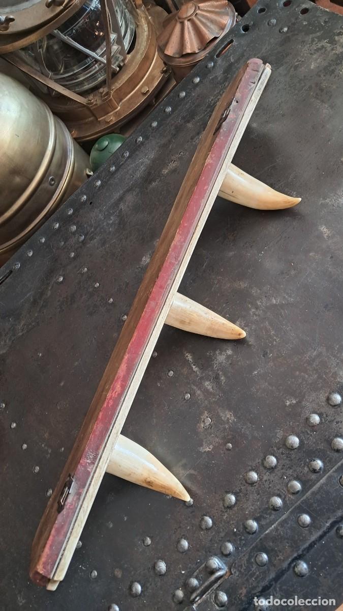 Antig&uuml;edades: Perchero unico de cachalote - Foto 6