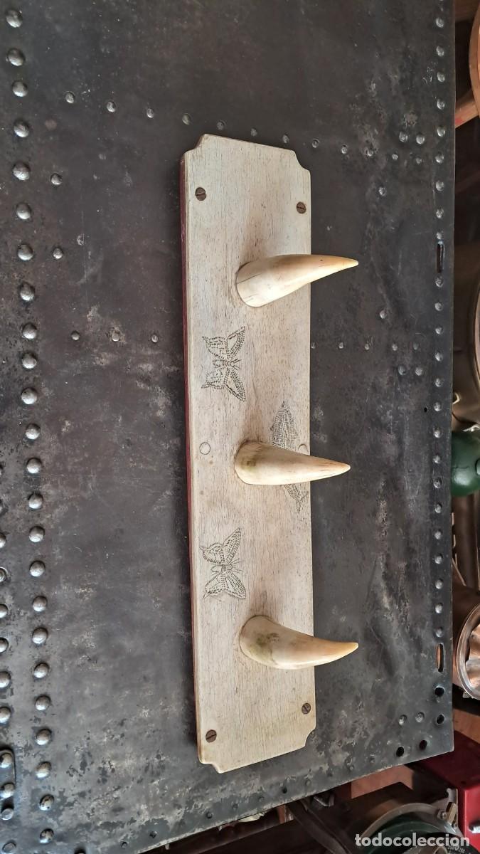 Antig&uuml;edades: Perchero unico de cachalote - Foto 11