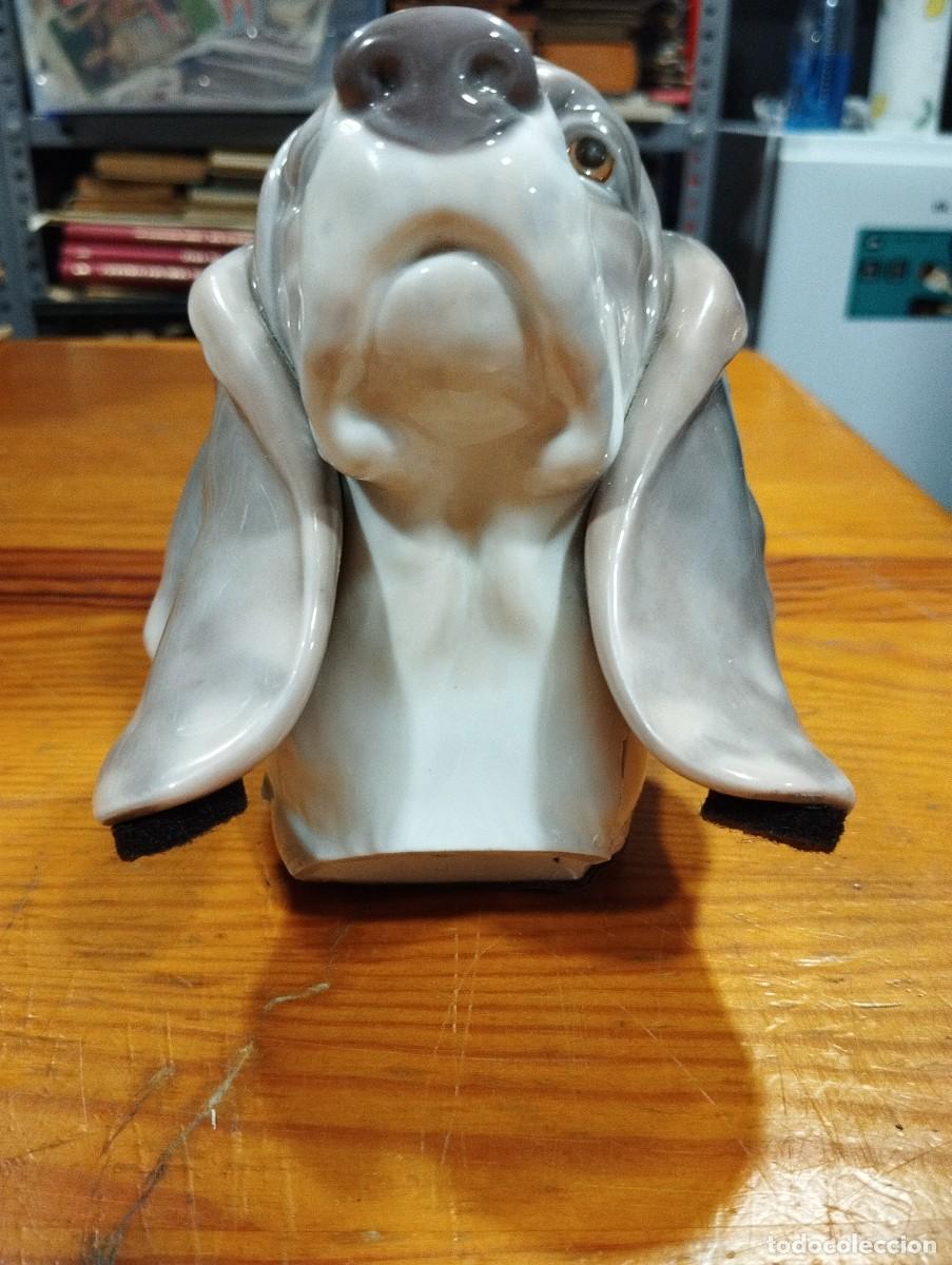 Antig&uuml;edades: PORCELANA CABEZA DE PERRO DE LLADR&Oacute;. - Foto 2
