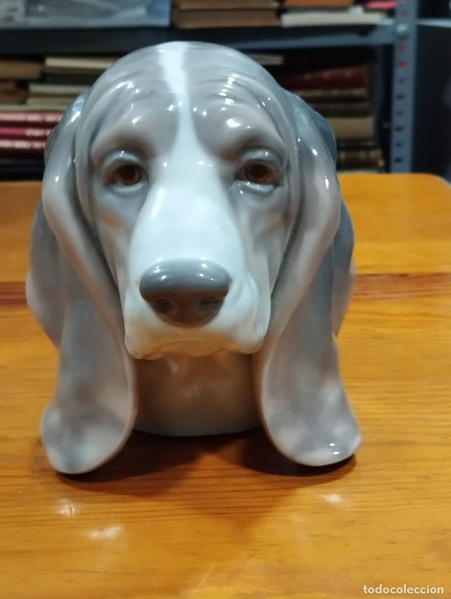 Antig&uuml;edades: PORCELANA CABEZA DE PERRO DE LLADR&Oacute;. - Foto 7