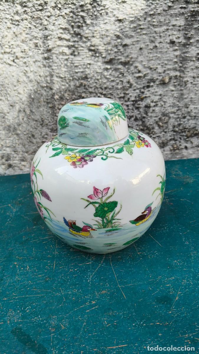 Antig&uuml;edades: Pot a gingembre chinois sign&eacute; 1950 - Foto 1