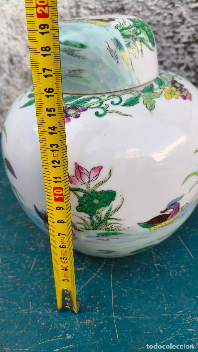 Antig&uuml;edades: Pot a gingembre chinois sign&eacute; 1950 - Foto 5