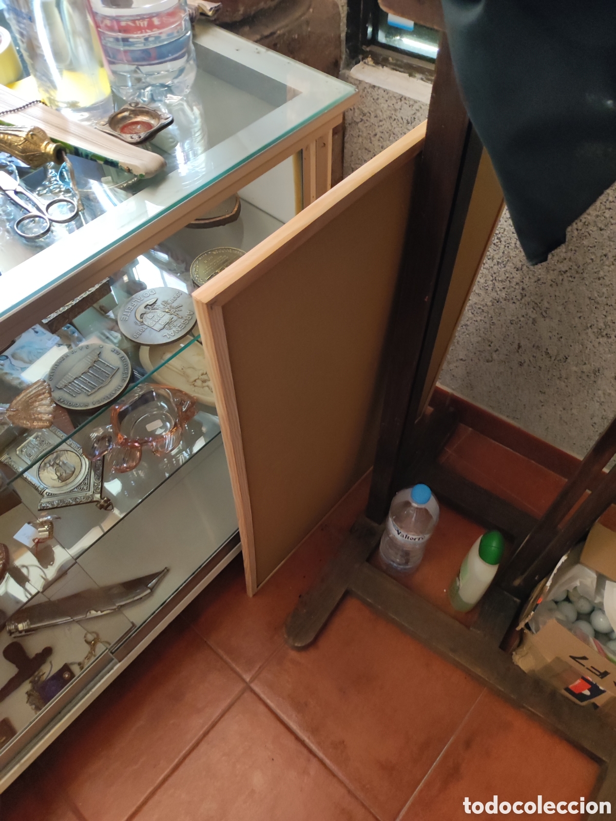 Antig&uuml;edades: Concha de porcelana numerada parte posterior - Foto 4