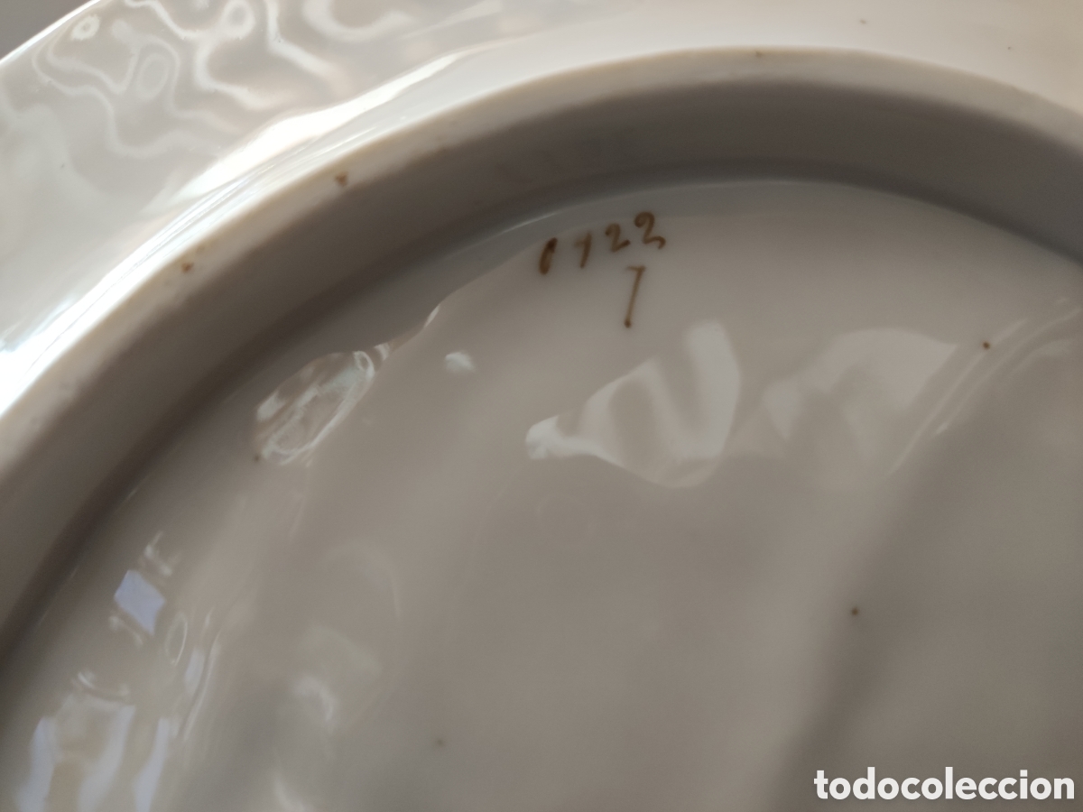 Antig&uuml;edades: Concha de porcelana numerada parte posterior - Foto 5