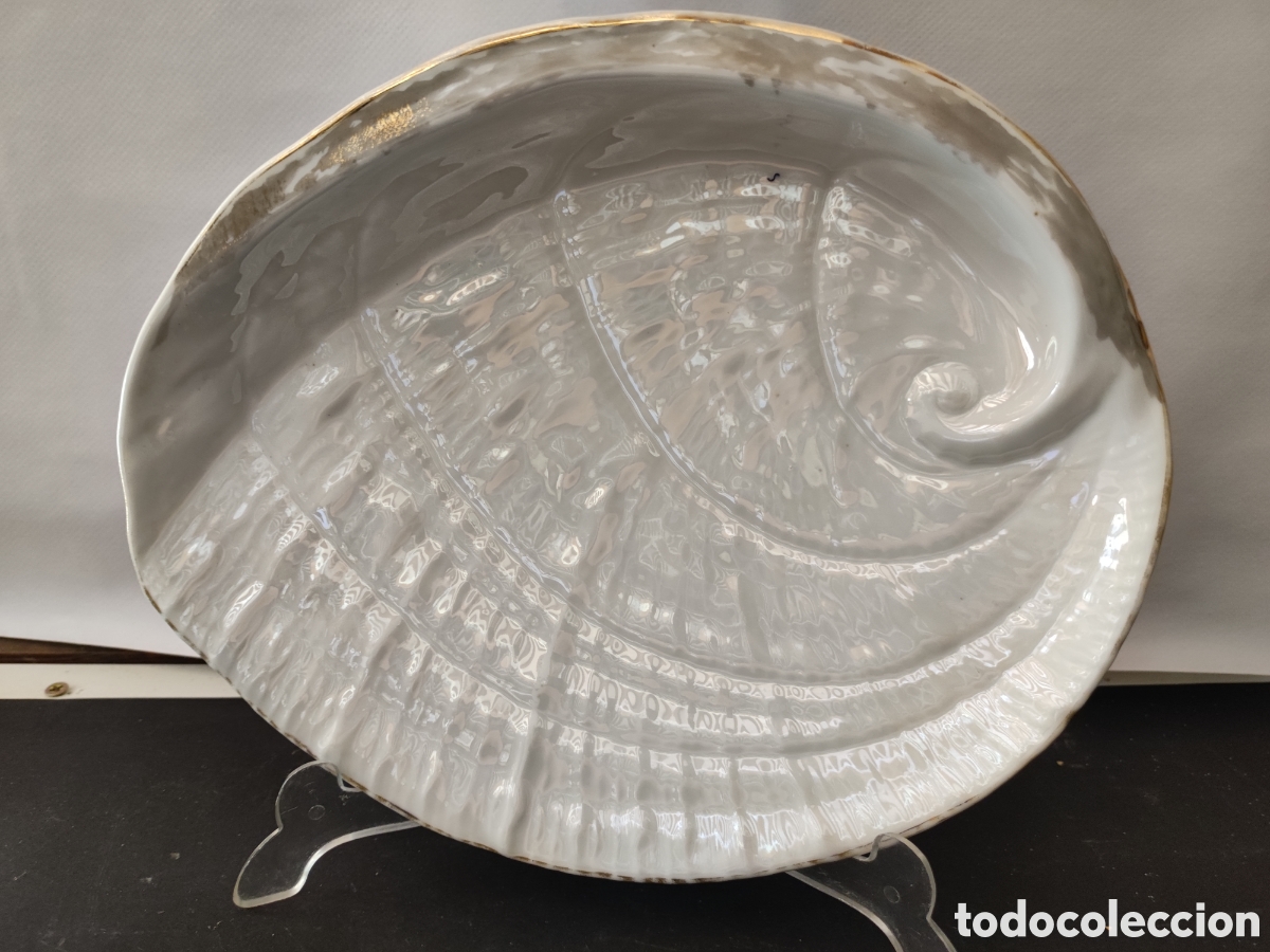 Antig&uuml;edades: Concha de porcelana numerada parte posterior - Foto 1