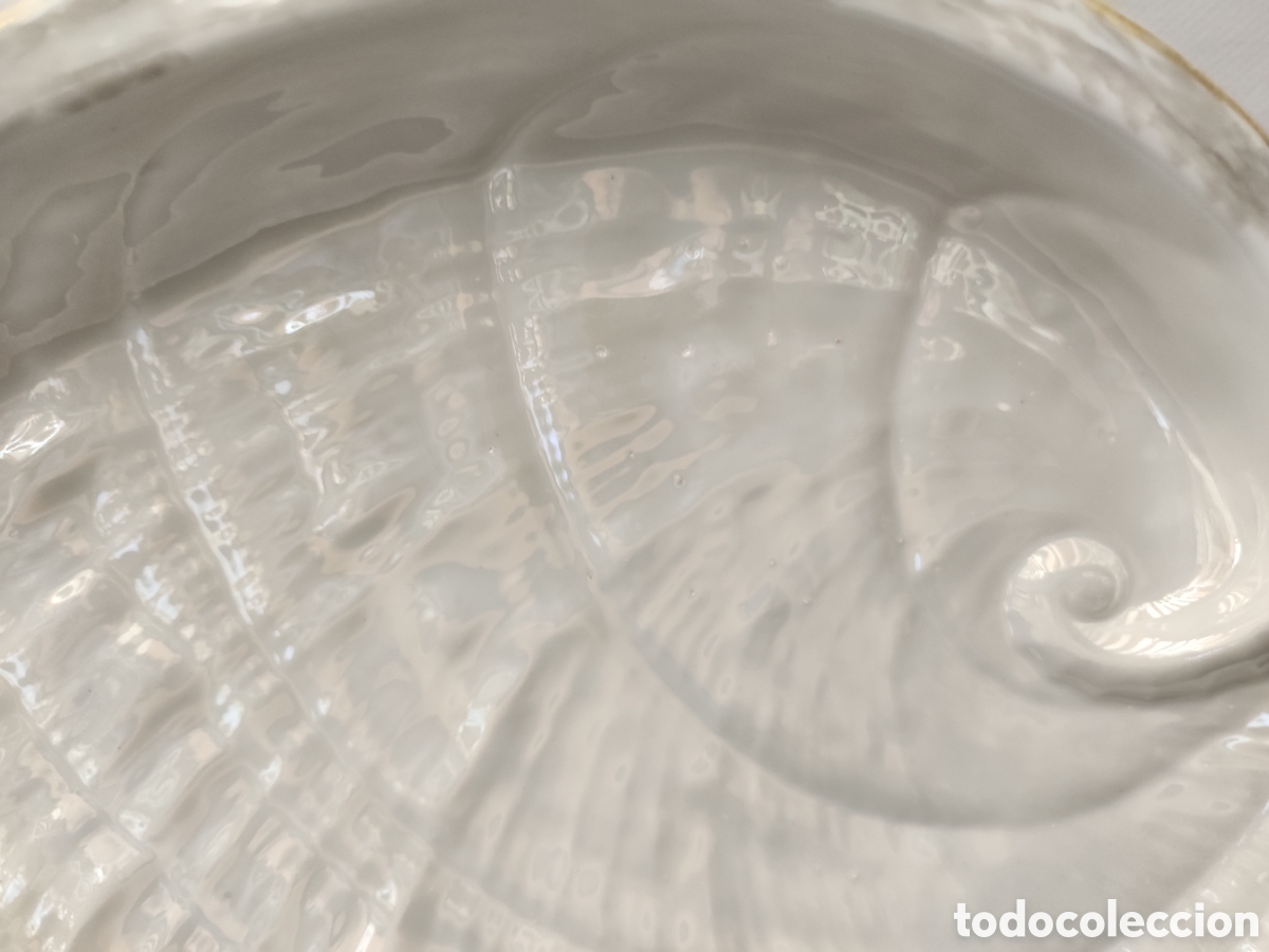 Antig&uuml;edades: Concha de porcelana numerada en la parte posterior - Foto 2