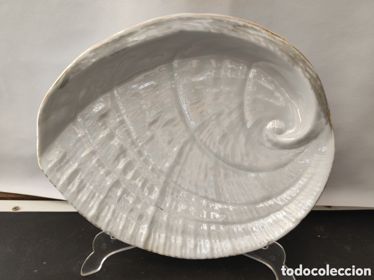 Antig&uuml;edades: Concha de porcelana numerada en la parte posterior - Foto 1
