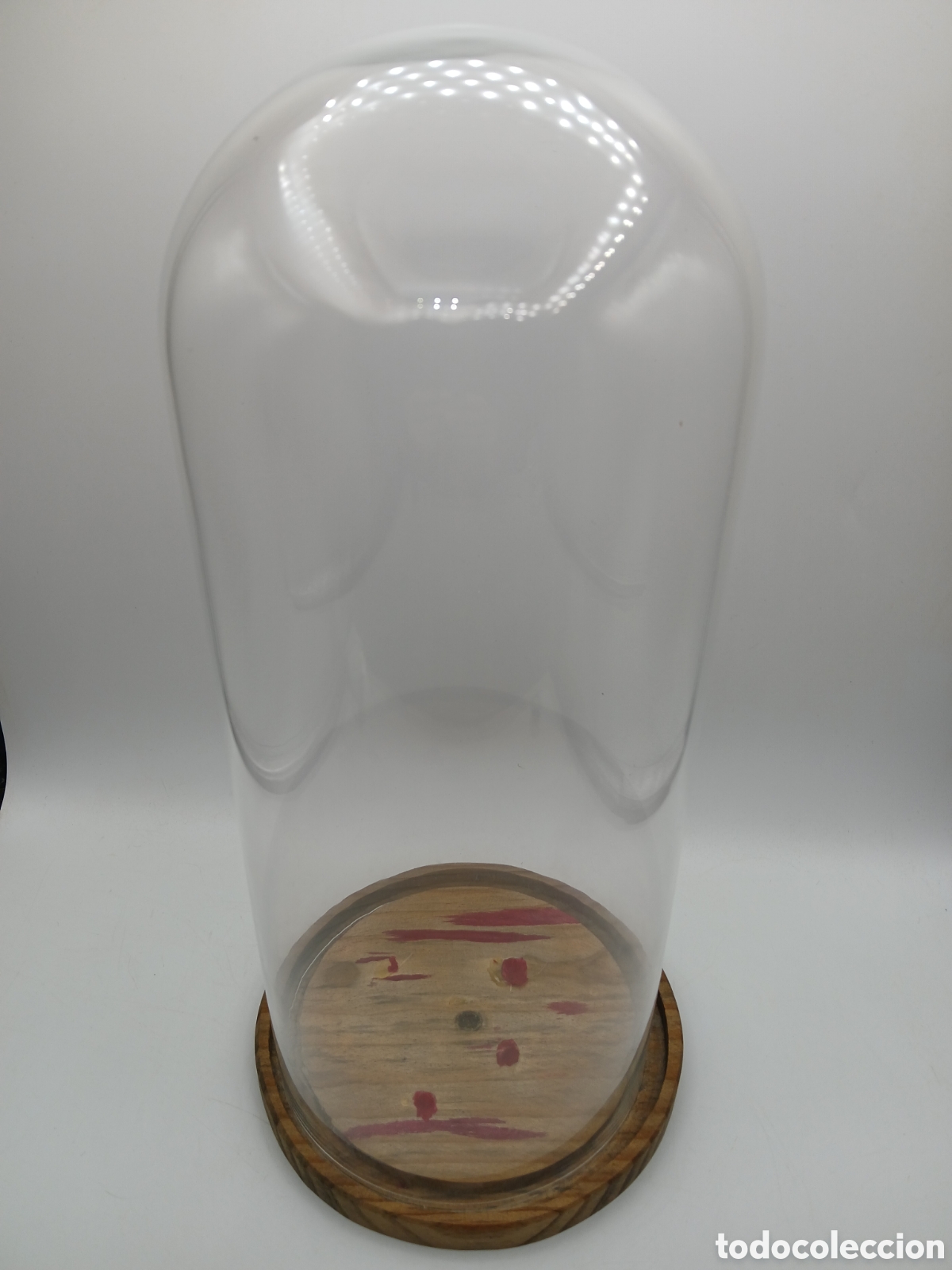 Antig&uuml;edades: Fanal c&uacute;pula de cristal base madera - Foto 2