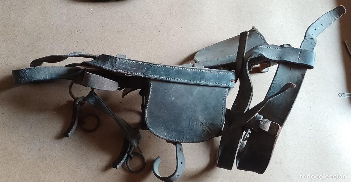 Antig&uuml;edades: Cabezada de mulo, para decorar - Foto 1