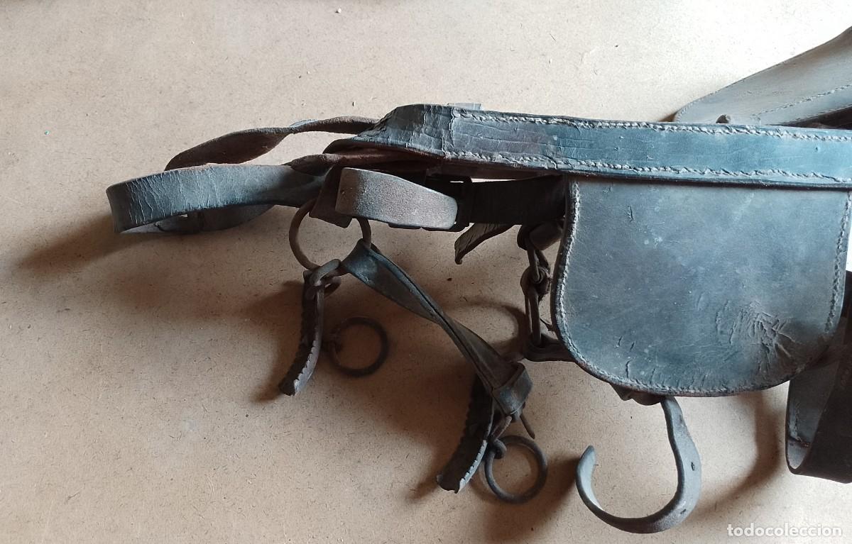 Antig&uuml;edades: Cabezada de mulo, para decorar - Foto 2