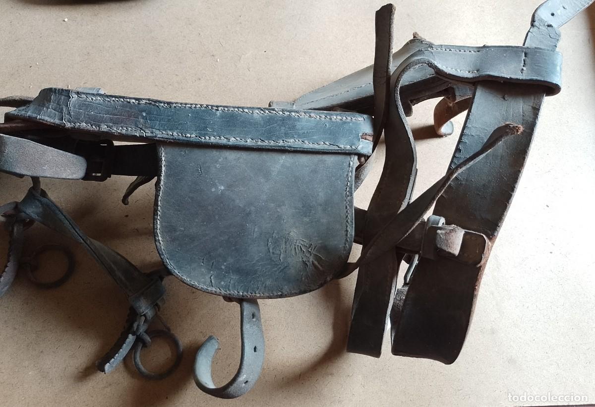 Antig&uuml;edades: Cabezada de mulo, para decorar - Foto 3