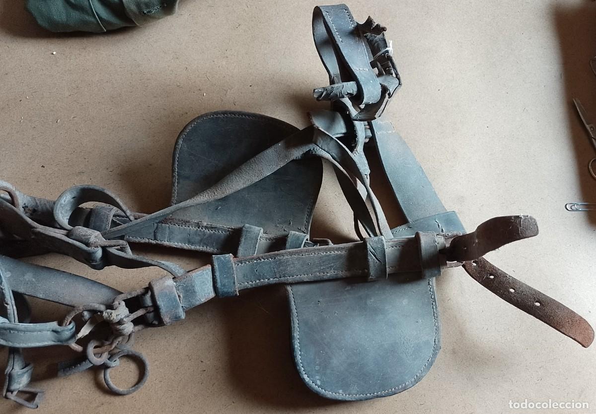Antig&uuml;edades: Cabezada de mulo, para decorar - Foto 6