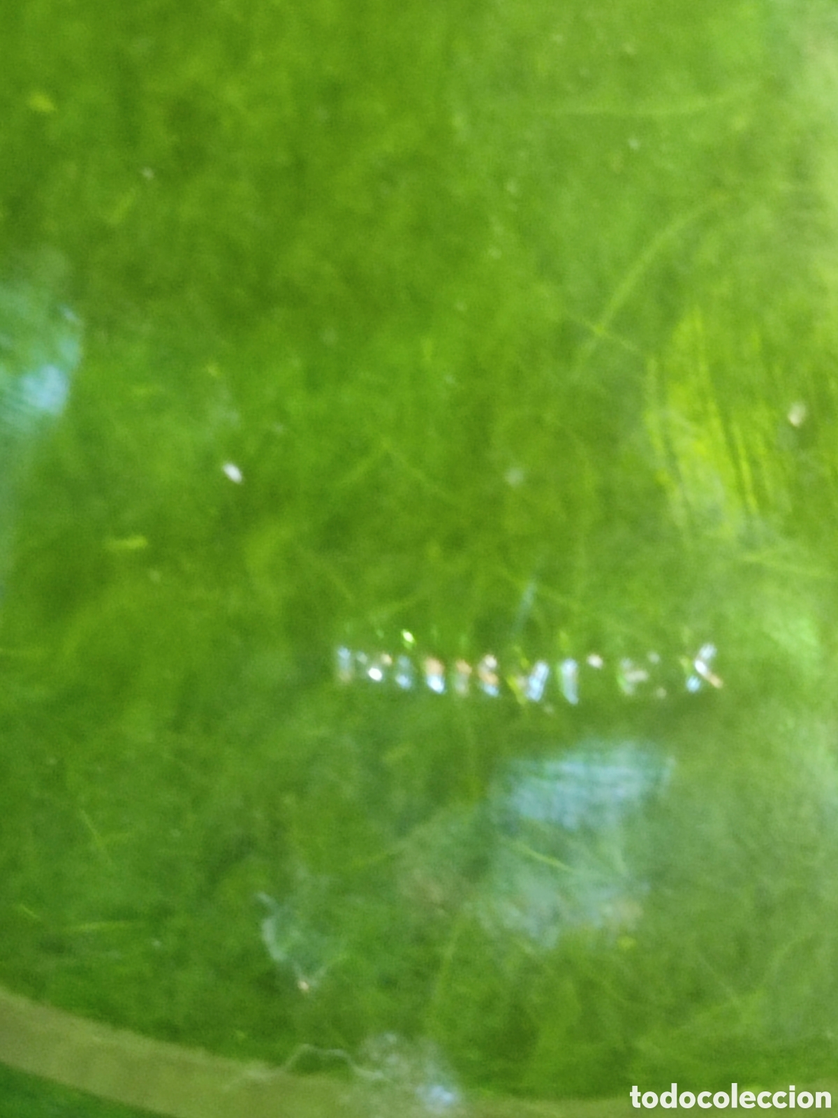 Antig&uuml;edades: Bandeja cristal duralex verde - Foto 5