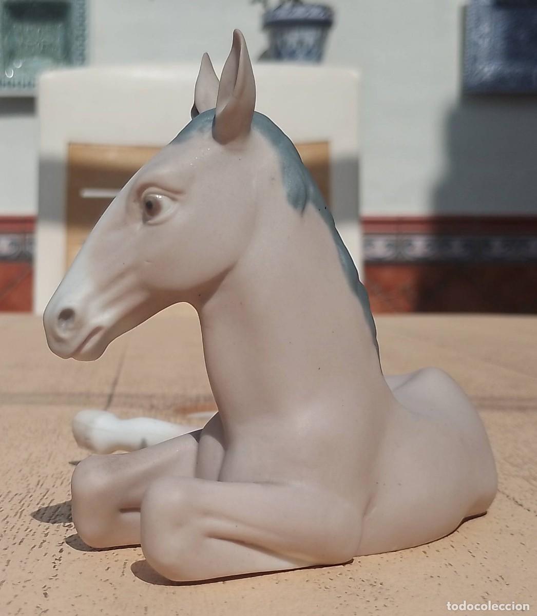 Antig&uuml;edades: Figura Potro Recostado Lladr&ograve; ? - Foto 7