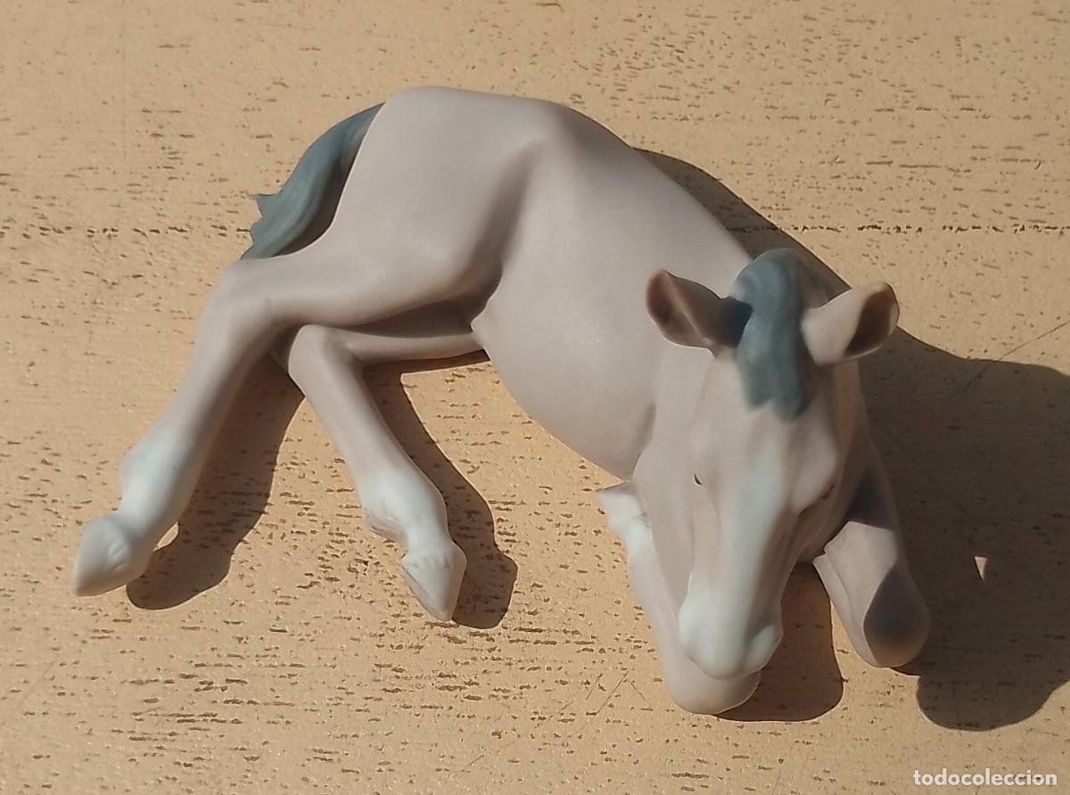 Antig&uuml;edades: Figura Potro Recostado Lladr&ograve; ? - Foto 17