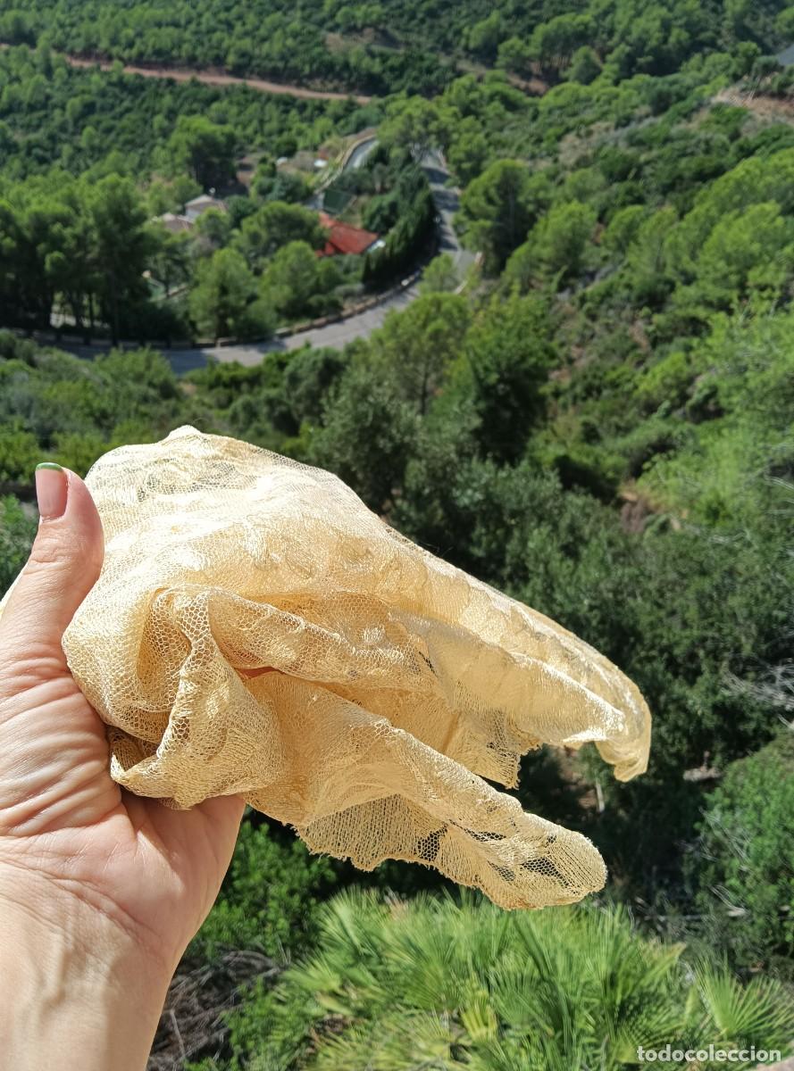 Antig&uuml;edades: ANTIGUA MANTILLA DORADA - Foto 6