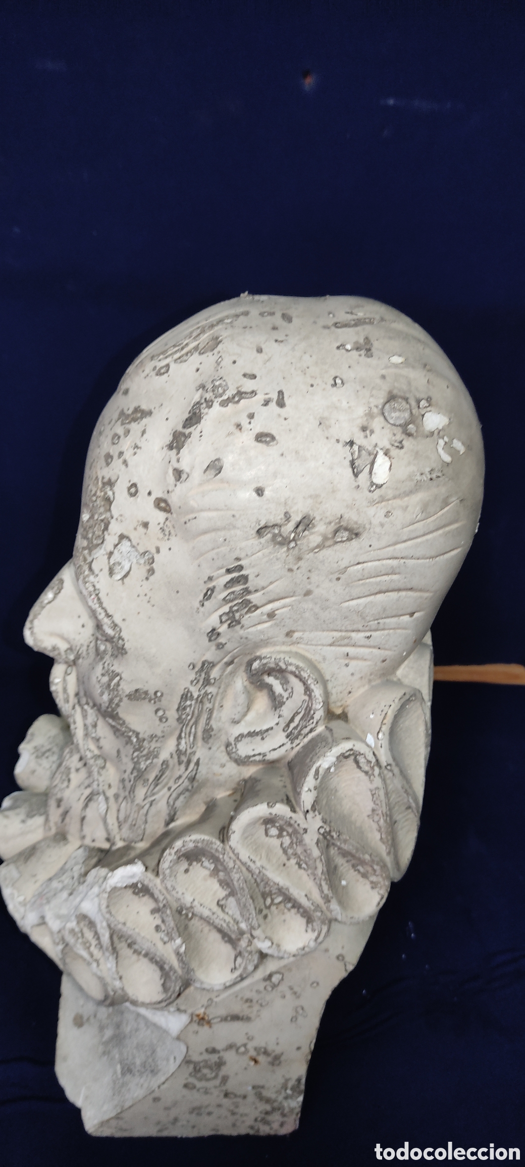 Antig&uuml;edades: Antiguo busto Miguel de Cervantes - Foto 7