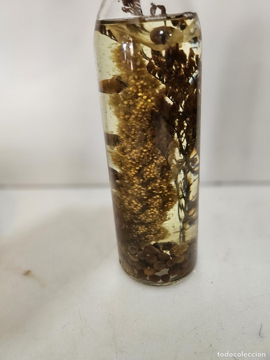 Antig&uuml;edades: botella con flores secas - Foto 2