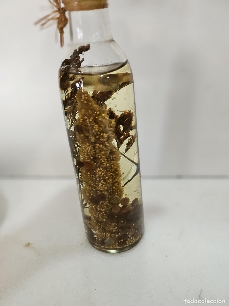 Antig&uuml;edades: botella con flores secas - Foto 3