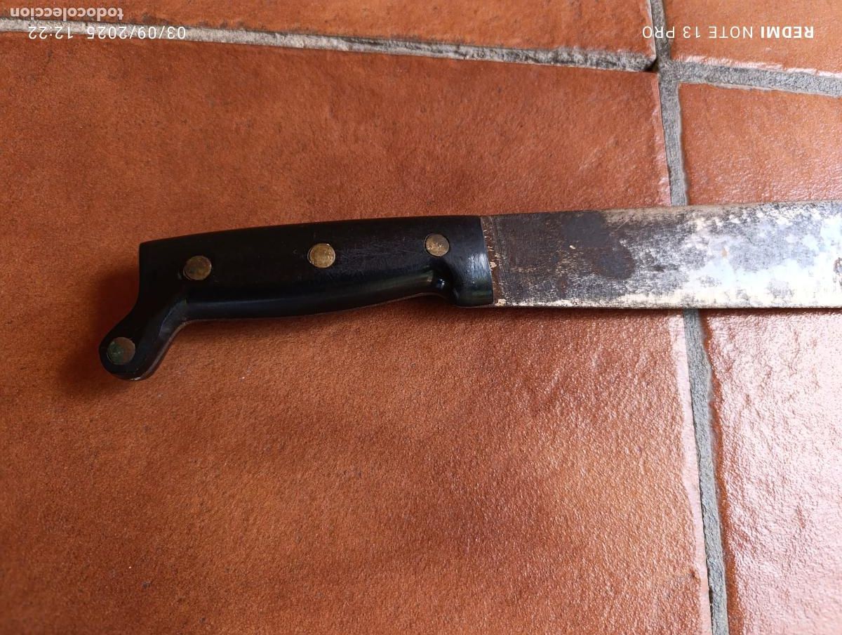 Antig&uuml;edades: ANTIGUO MACHETE CUCHILLO SELVA. - Foto 2