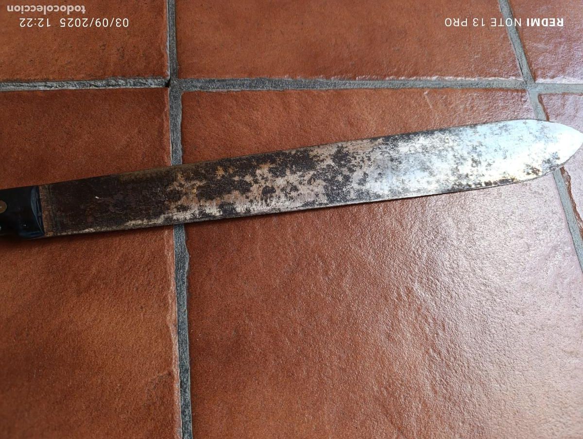 Antig&uuml;edades: ANTIGUO MACHETE CUCHILLO SELVA. - Foto 3