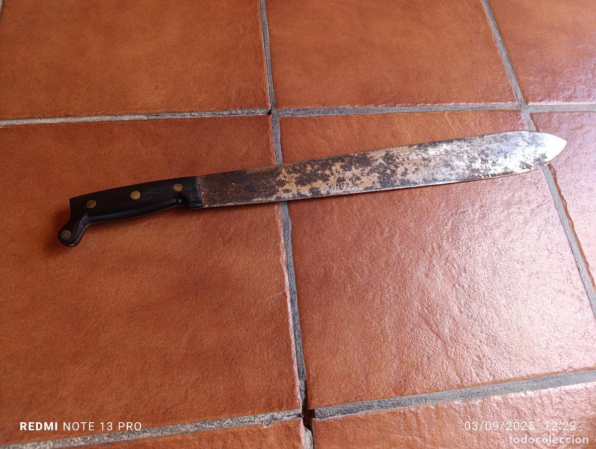 Antig&uuml;edades: ANTIGUO MACHETE CUCHILLO SELVA. - Foto 1