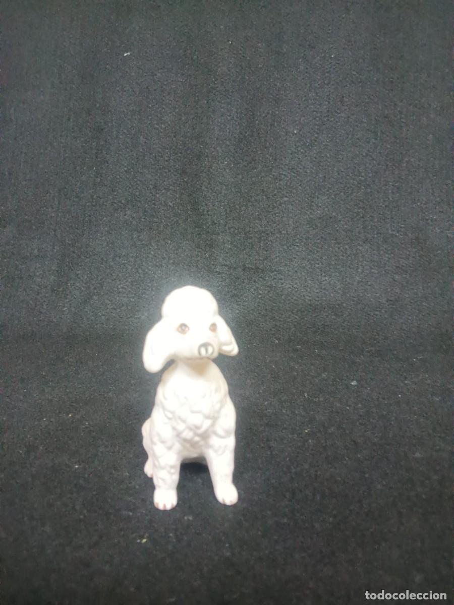 Antig&uuml;edades: CANICHE PORCELANA BISCUIT - Foto 1