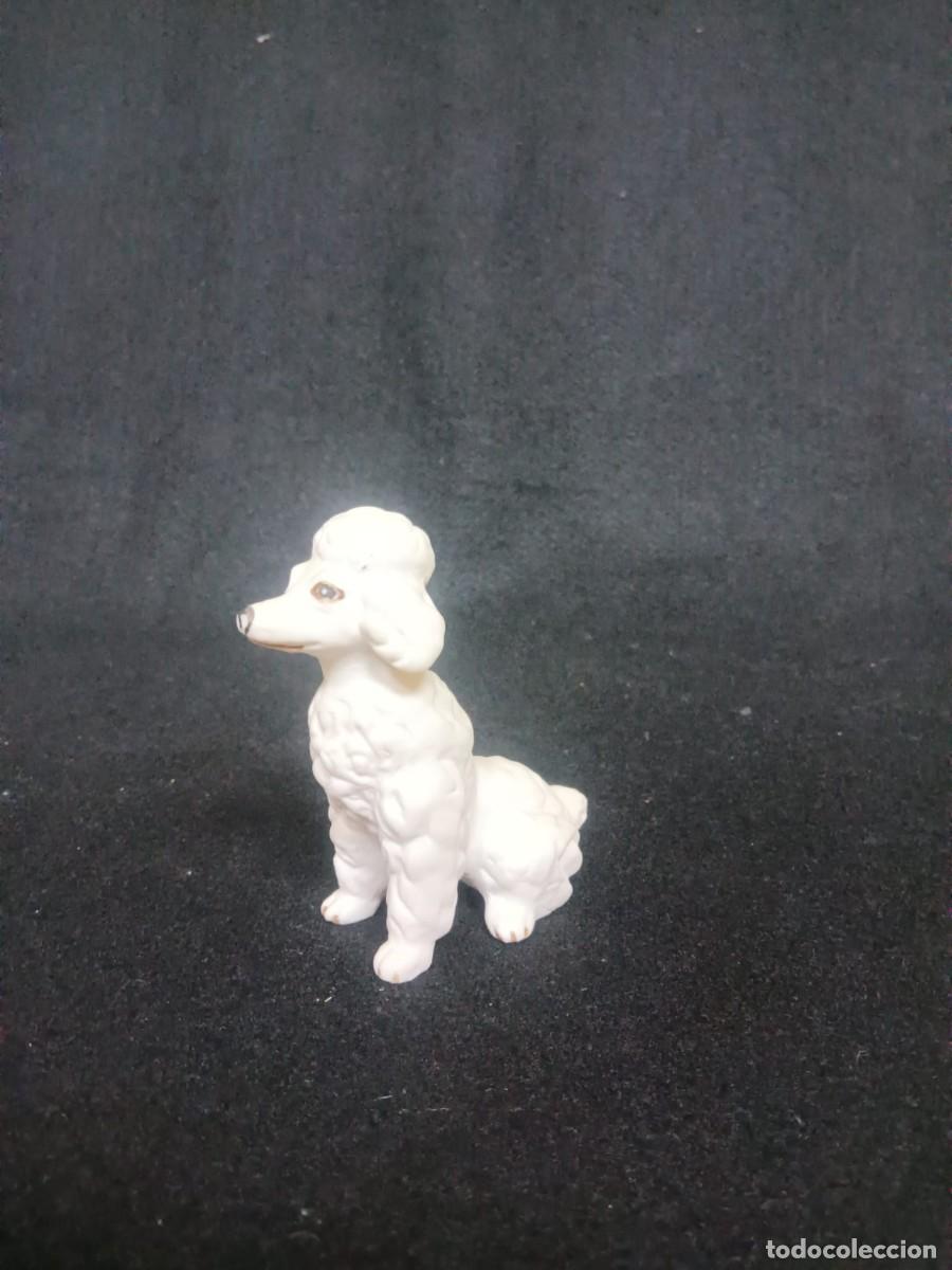 Antig&uuml;edades: CANICHE PORCELANA BISCUIT - Foto 2