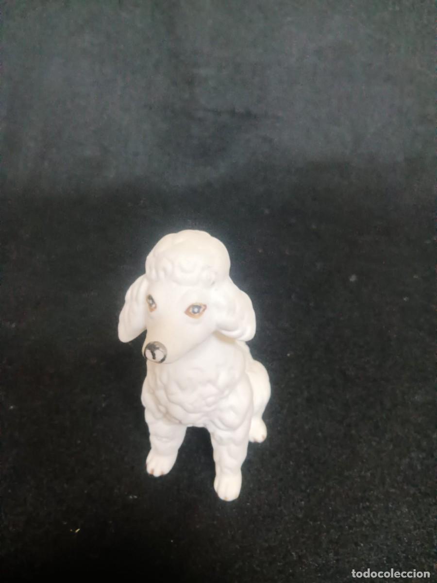 Antig&uuml;edades: CANICHE PORCELANA BISCUIT - Foto 5