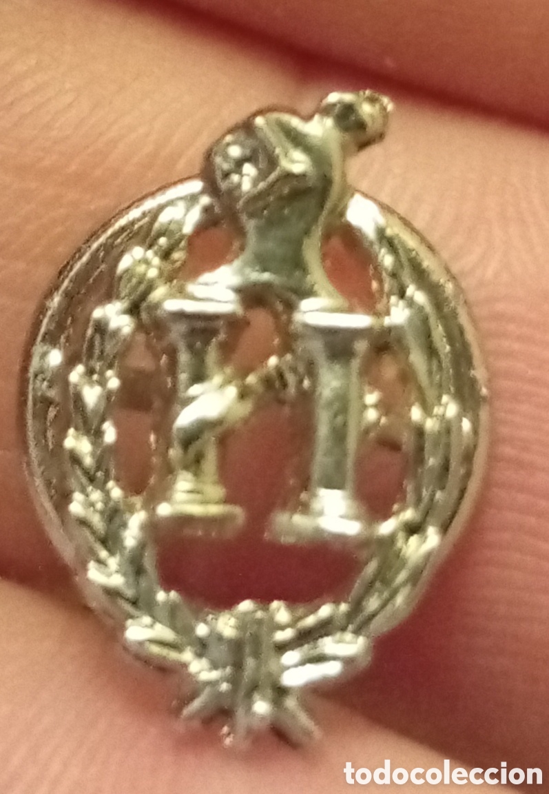 Antiques: Peque&ntilde;o Pin vintage de solapa
