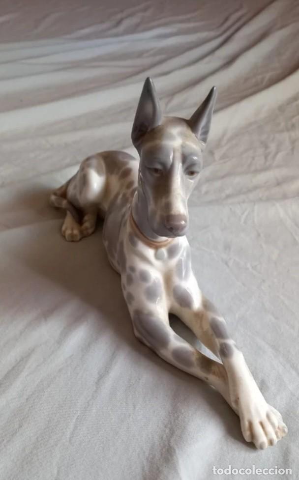 Antig&uuml;edades: Figura Dogo Aleman de LLADR&Oacute; - Foto 2