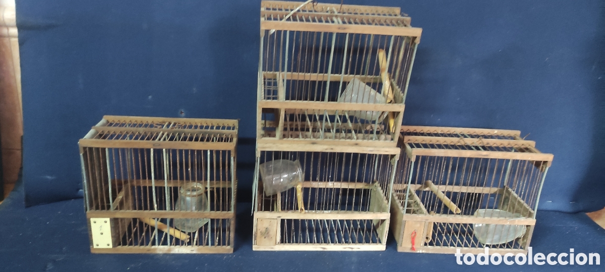 Antig&uuml;edades: Conjunto de 4 jaulas de aves - Foto 2