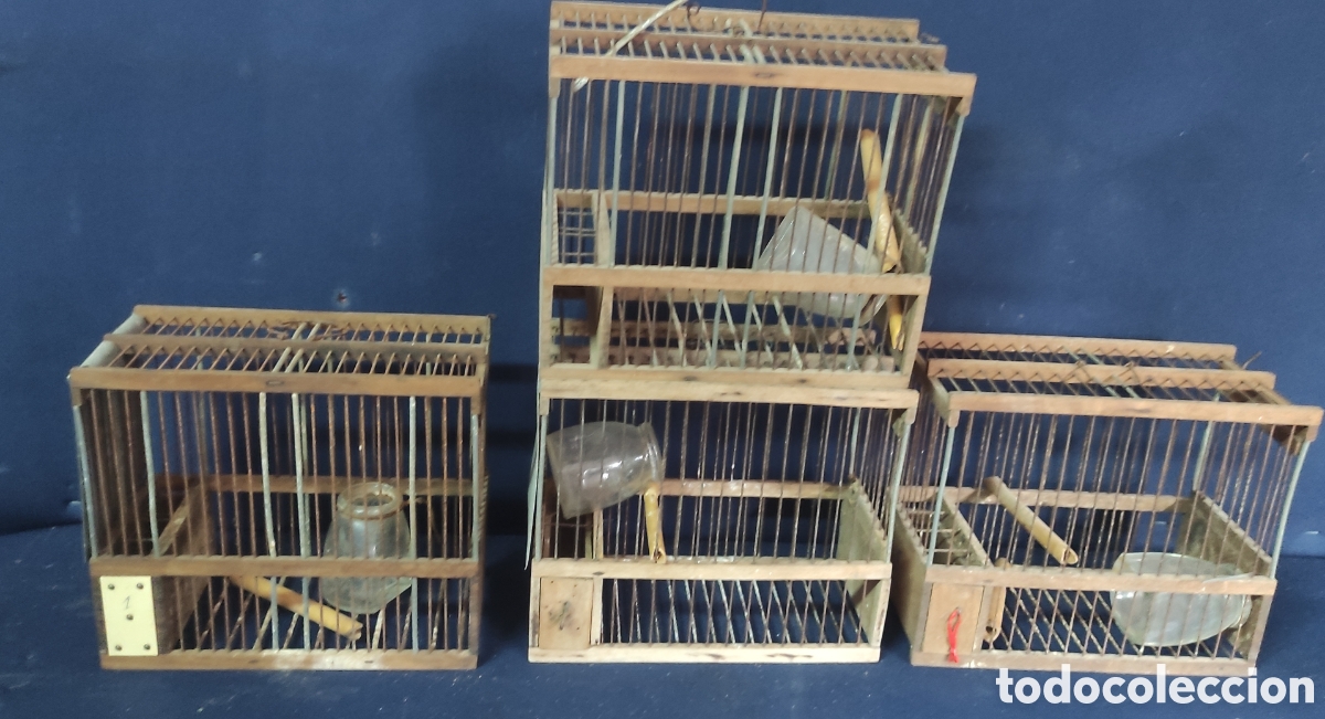 Antig&uuml;edades: Conjunto de 4 jaulas de aves - Foto 1